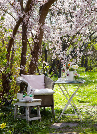 kersenbloem, stoel onder kersenboom met lenteboeket op tafeltje