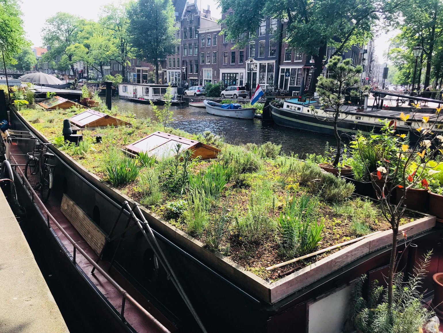 Groen dak terras woonboot Amsterdam